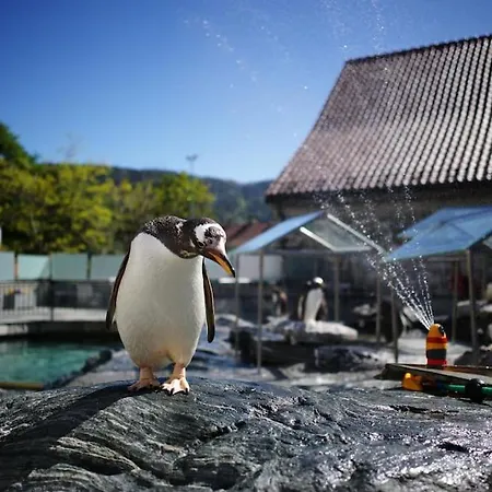 Brand New And Luxurious Penthouse In Centre! Apartment