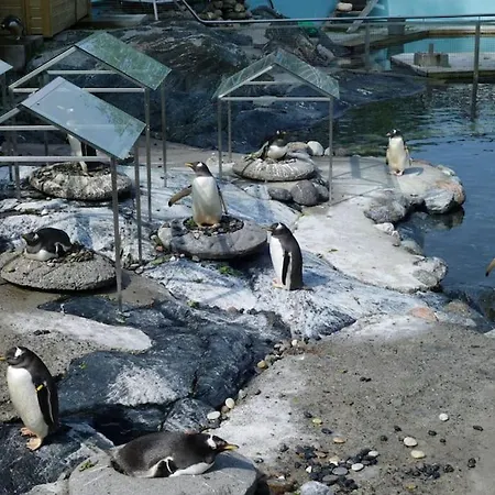 Brand New And Luxurious Penthouse In Centre! 公寓