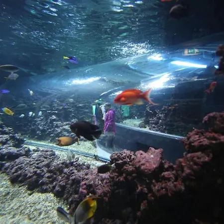 Brand New And Luxurious Penthouse In Centre! 公寓