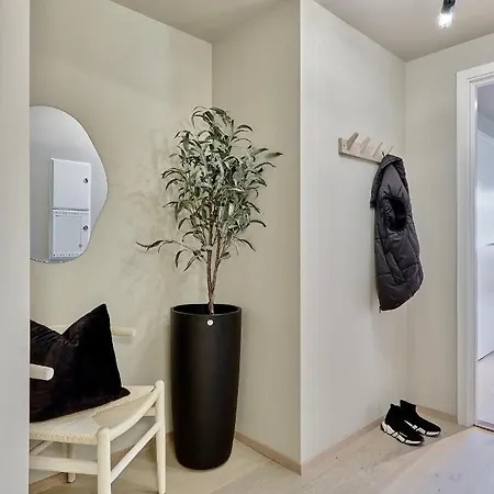 Apartment Brand New And Luxurious Penthouse In Centre!