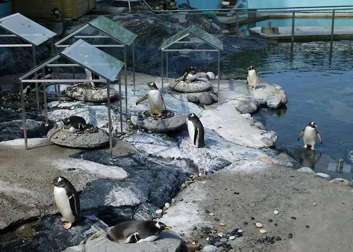 Brand New And Luxurious Penthouse In Centre! Apartment