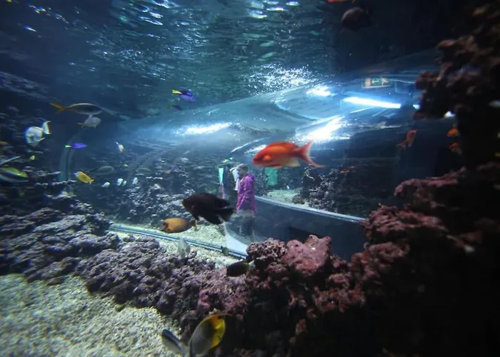 Brand New And Luxurious Penthouse In Centre! Lägenhet