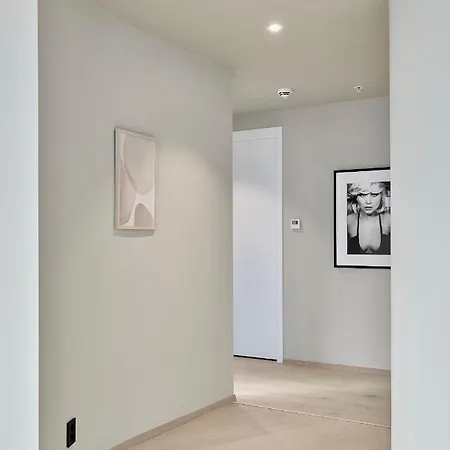 Brand New And Luxurious Penthouse In Centre! Apartament