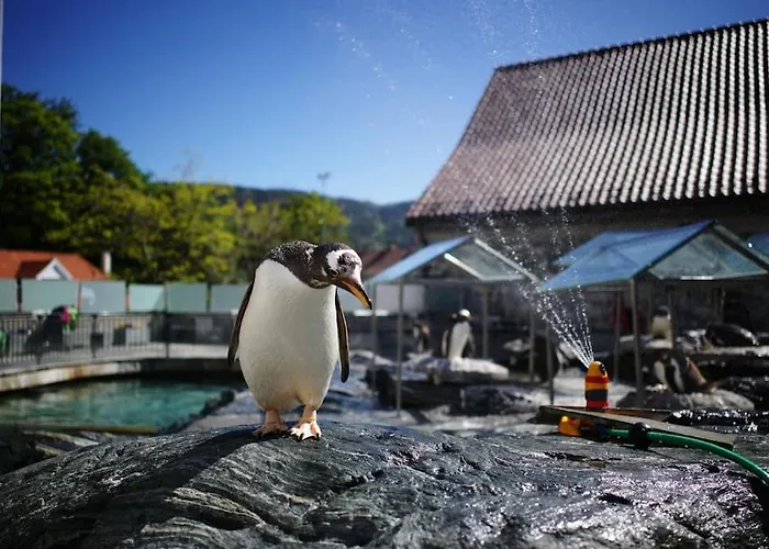 Brand New And Luxurious Penthouse In Centre! Apartmán